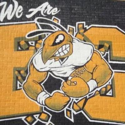 Timeline: Daphne Rivera Marine Biologist