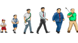 Timeline: Ciclo vital del ser humano