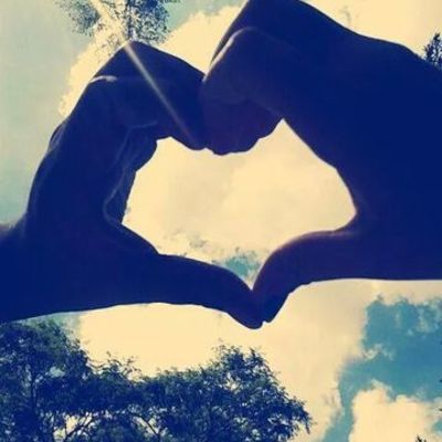 Timeline: ciclo vital