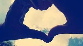 Timeline: ciclo vital