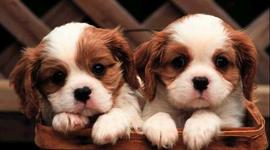 Timeline: Ученные