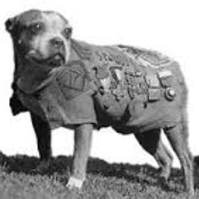 Timeline: ww1 timeline