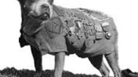 Timeline: ww1 timeline