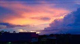 Timeline: Línea de tiempo