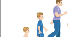 Timeline: CICLO VITAL DEL SER HUMANO.