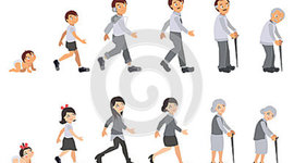 Timeline: ciclo vital del ser humano