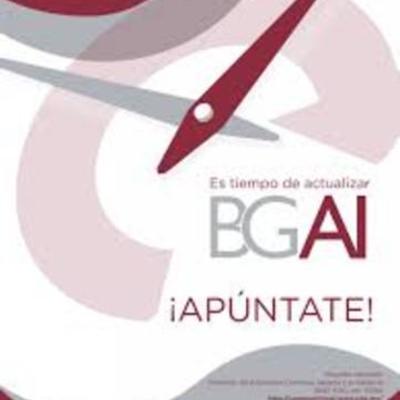 Timeline: responsabilidades del asesor BGAI RAMIRO GARCIA