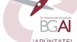 Timeline: responsabilidades del asesor BGAI RAMIRO GARCIA