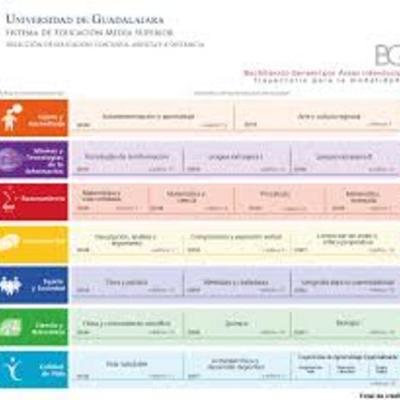 Timeline: Las Responsabilidades del Asesor de BGAI