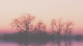 Timeline: Web 1.0, 2.0 y 3.0