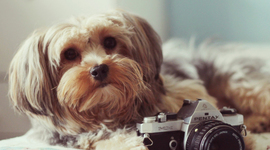 Timeline: Entrando cine