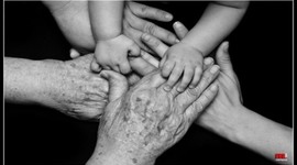 Timeline: CICLO VITAL DEL SER HUMANO