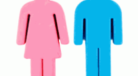 Timeline: El papel del hombre y la mujer a los largo de la historia