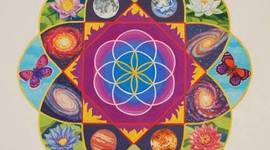 Timeline: Enfoques de la psicologia