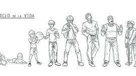 Timeline: Ciclo vital del ser humano