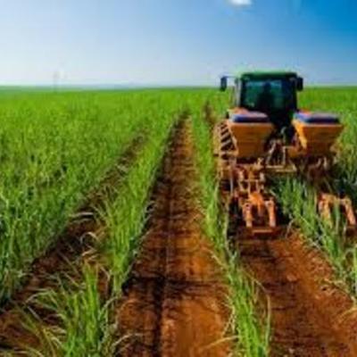 Timeline: Logistica AgroIndustrial