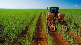 Timeline: Logistica AgroIndustrial