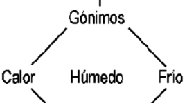 Timeline: TEORÍAS DE LA  EVOLUCIÓN