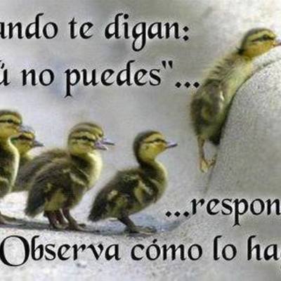 Timeline: HISTORIA ACADEMICA