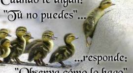 Timeline: HISTORIA ACADEMICA