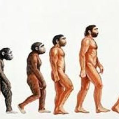 Timeline: Teorias de la Evolucion