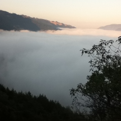 Timeline: Conocimientos aprendidos