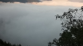 Timeline: Conocimientos aprendidos