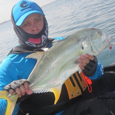 Timeline: Mi Línea de Vida