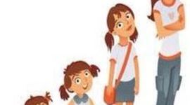 Timeline: CICLO VITAL DEL SER HUMANO