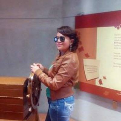 Timeline: Ciclo Vital