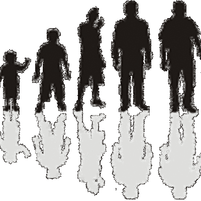 Timeline: Ciclo vital humano