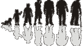 Timeline: Ciclo vital humano