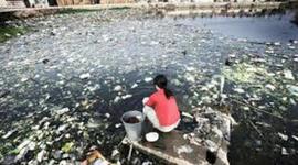 Timeline: LA CONTAMINACÓN