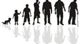 Timeline: Ciclo de vida