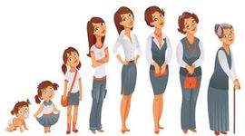 Timeline: Ciclo de la vida