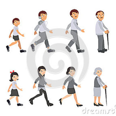 Timeline: Ciclo Vital del ser Humano