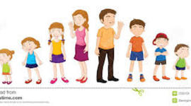 Timeline: CICLO VITAL HUMANO