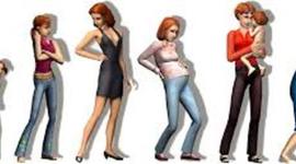 Timeline: CICLO VITAL