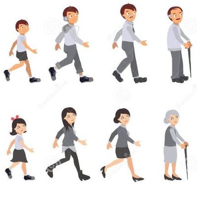 Timeline: El Ciclo Vital