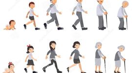 Timeline: El Ciclo Vital