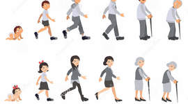 Timeline: Ciclo vital humano