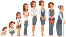 Timeline: Ciclo de vida del ser humano