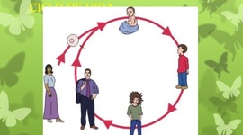Timeline: Ciclo Vital Humano