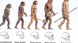 Timeline: Evolucion del Hombre