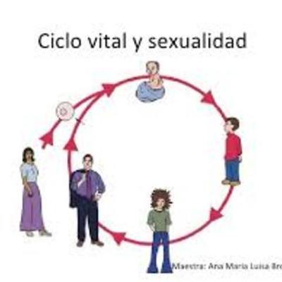 Timeline: Linea del Tiempo del Ciclo Vital del Ser Humano