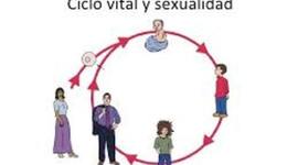 Timeline: Linea del Tiempo del Ciclo Vital del Ser Humano