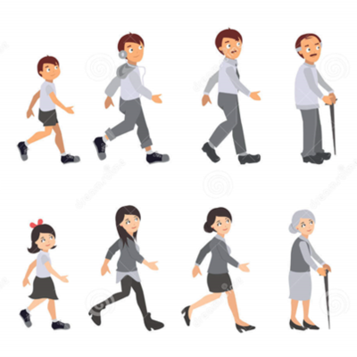 Timeline: CICLO VITAL DEL SER HUMANO