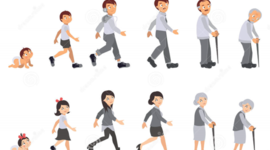 Timeline: CICLO VITAL DEL SER HUMANO