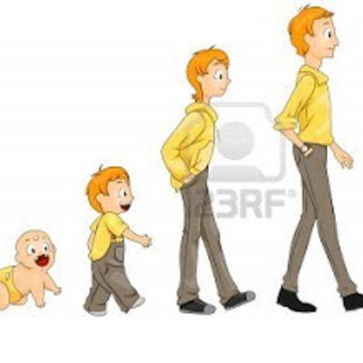 Timeline: Fecundación-Adolescencia.