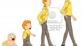 Timeline: Fecundación-Adolescencia.